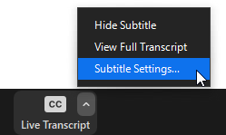 subtitle settings